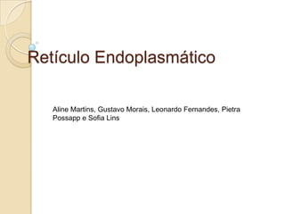 Retículo Endoplasmático Aline Martins, Gustavo Morais, Leonardo Fernandes, PietraPossapp e Sofia Lins 