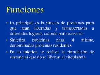 Funciones
• La principal, es la síntesis de proteínas para
que sean liberadas y transportadas a
diferentes lugares, cuando sea necesario.
• Sintetiza proteínas para sí mismo,
denominadas proteínas residentes.
• En su interior, se realiza la circulación de
sustancias que no se liberan al citoplasma.
 