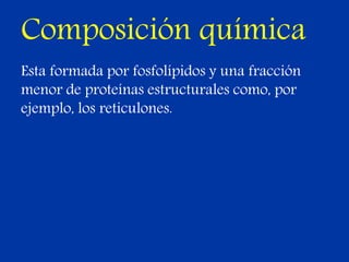 Composición química
Esta formada por fosfolípidos y una fracción
menor de proteínas estructurales como, por
ejemplo, los reticulones.
 