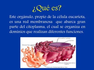 ¿Qué es?
Este orgánulo, propio de la célula eucariota,
es una red membranosa que abarca gran
parte del citoplasma, el cual se organiza en
dominios que realizan diferentes funciones.
 