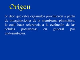 Origen
Se dice que estos orgánulos provinieron a partir
de invaginaciones de la membrana plasmática,
lo cual hace referencia a la evolución de las
células procariotas en general por
endosimbiosis.
 