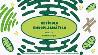 RETÍCULO
ENDOPLASMÁTICO
Grupo 7
Morales Delgadillo, Padilla Villalta, Panoso Lizarazu, Panozo Frontanilla , Pedrazas Nogales.
Biotecnología
 