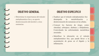 )
)
)
)
)
)
)
)
)
)
)
)
)
)
)
)
)
)
OBJETIVO GENERAL
Determinar la importancia del retículo
endoplasmático liso y su aporte
desintoxicación del alcohol y otras
sustancias.
OBJETIVO ESPECIFICO
Explicar que el retículo endoplasmático liso
desempeña la metabolización y
desintoxicación de sustancias en las células.
Conocer los factores de riesgo, como:
obesidad, sobrepeso, diabetes y dislipidemia.
Controlando las enfermedades metabólicas
asociadas.
Identificar la alteración en el retículo
endoplasmático liso, que puede llevar a la
acumulación de grasa en el hígado y la
inflamación.
 