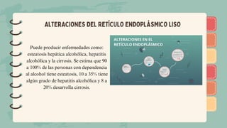 )
)
)
)
)
)
)
)
)
)
)
)
)
)
)
)
)
)
AlTERACIONES DEL RETÍCULO ENDOPLÁSMICO LISO
Puede producir enfermedades como:
esteatosis hepática alcohólica, hepatitis
alcohólica y la cirrosis. Se estima que 90
a 100% de las personas con dependencia
al alcohol tiene esteatosis, 10 a 35% tiene
algún grado de hepatitis alcohólica y 8 a
20% desarrolla cirrosis.
 