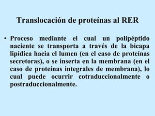 Translocación de proteínas al RER Proceso mediante el cual un polipéptido naciente se transporta a través de la bicapa lipídica hacia el lumen (en el caso de proteínas secretoras), o se inserta en la membrana (en el caso de proteínas integrales de membrana), lo cual puede ocurrir cotraduccionalmente o postraduccionalmente. 