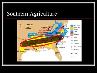 Southern Agriculture
50% of all slaves lived in the Black Belt
50% of all slaves lived in the Black Belt
(“Cotton Belt”)
(“Cotton Belt”)
 