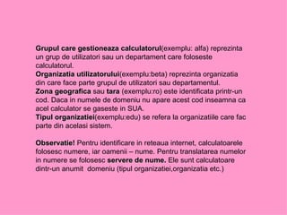 Grupul care gestioneaza calculatorul (exemplu: alfa) reprezinta un grup de utilizatori sau un departament care foloseste calculatorul. Organizatia utilizatorului (exemplu:beta) reprezinta organizatia din care face parte grupul de utilizatori sau departamentul. Zona geografica  sau   tara  (exemplu:ro) este identificata printr-un cod. Daca in numele de domeniu nu apare acest cod inseamna ca acel calculator se gaseste in SUA. Tipul organizatiei (exemplu:edu) se refera la organizatiile care fac parte din acelasi sistem. Observatie!  Pentru identificare in reteaua internet, calculatoarele folosesc numere, iar oamenii – nume. Pentru translatarea numelor in numere se folosesc  servere de nume.  Ele sunt calculatoare dintr-un anumit  domeniu (tipul organizatiei,organizatia etc.) 