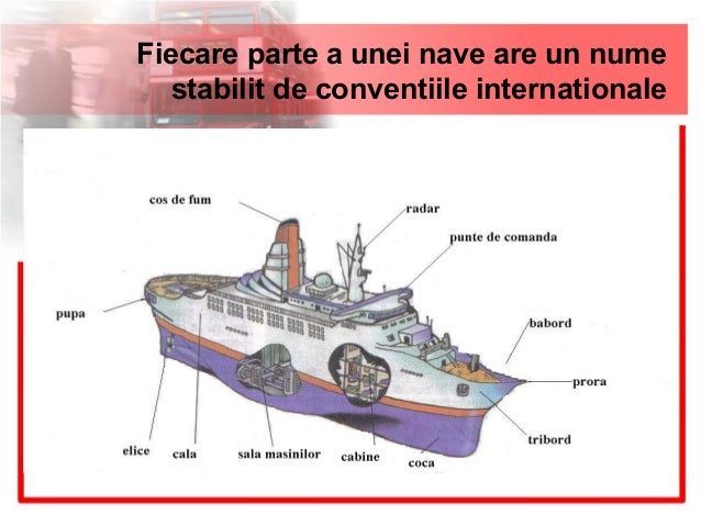 Mijloace de transport exemple