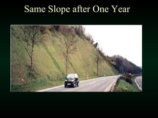 Same Slope after One Year 