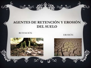 AGENTES DE RETENCIÓN Y EROSIÓN
DEL SUELO
RETENCIÓN

EROSIÓN

 