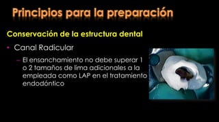 Indicación Dientes con corona clínica con cierto grado de destrucción y que requieren de un tratamiento protésico Pegoraro L. Prótesis Fija. Editorial Artes Médicas. Sao Paulo, Brasil. 2001