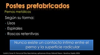 “la longitud del  ferrule es más importante que la longitud de los postes para determinar la resistencia a la fractura”FlemmingIsidor, KnudBrondum and GertRavnholt. The influence of post length and crown ferrule length on the resistance to cyclic loading of bovine teeth with prefabricated titanium posts. Int Journal of Prosthodont. 1999:12,78-82
