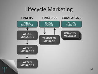 Lifecycle Marketing 