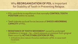 Why REORGANIZATION OF PDL is Important
for Stability ofTooth in Preventing Relapse.
▪ PDL contribute to equilibrium that normally CONTROLTOOTH
POSITION within its socket.
▪ Teeth tolerate occlusal forces because of SHOCK ABSORBING
CAPACITY of PDL.
▪ RESISTANCE OFTOOTH MOVEMENT caused by prolonged
imbalance in tongue – lip – check pressure or pressure from gingival
fibers occur by ACTIVE STABILIZATION OF PDL.
▪ Orthodontic force reduces the active stabilization of PDL to cause tooth
movement.
S.S Hotchandani 6
 