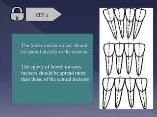 Lower Apices Retention-and-Relapse- for dental medicine studentsPpt.pptx
