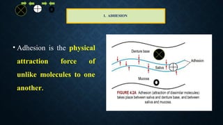 1. ADHESION
• Adhesion is the physical
attraction force of
unlike molecules to one
another.
 