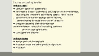 male vitality improvement