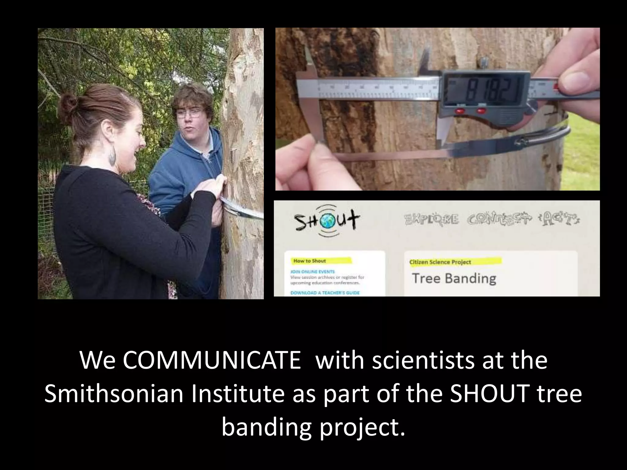 We COMMUNICATE with scientists at the
Smithsonian Institute as part of the SHOUT tree
               banding project.
 