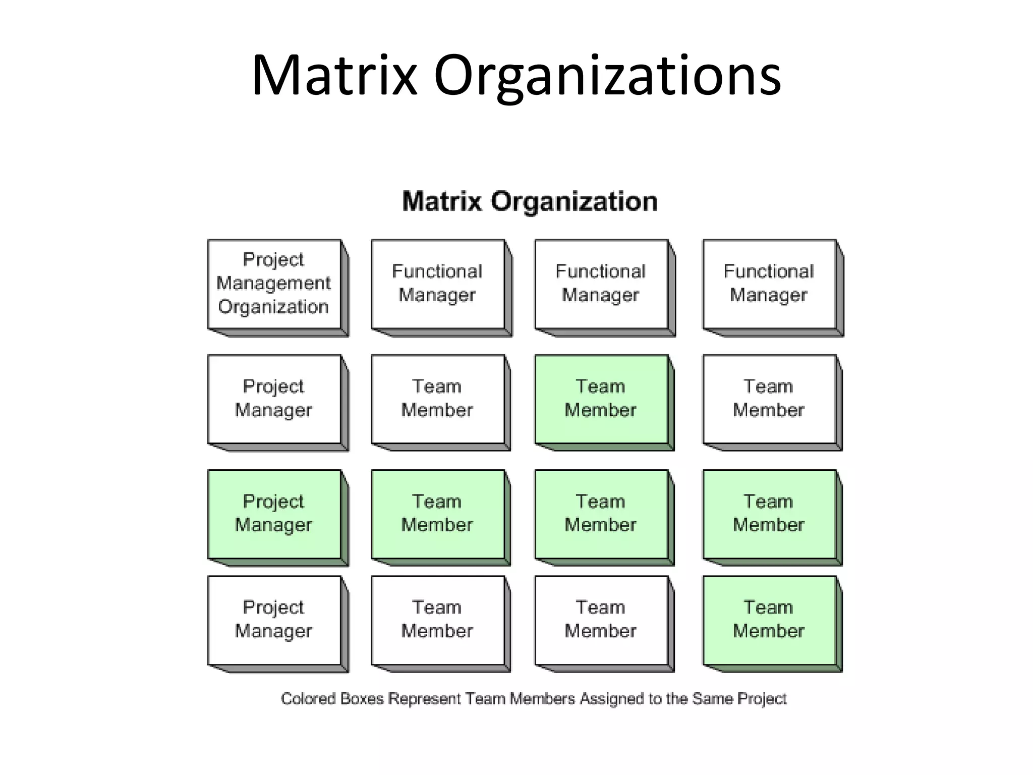Matrix Organizations
 