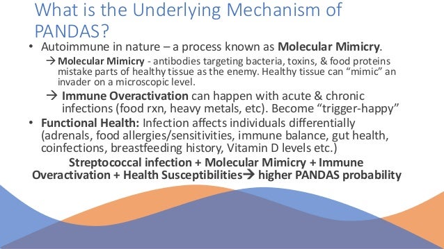 Rethinking treatment of PANDAS as a Neuro-Immune Condition