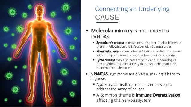 Rethinking treatment of PANDAS as a Neuro-Immune Condition