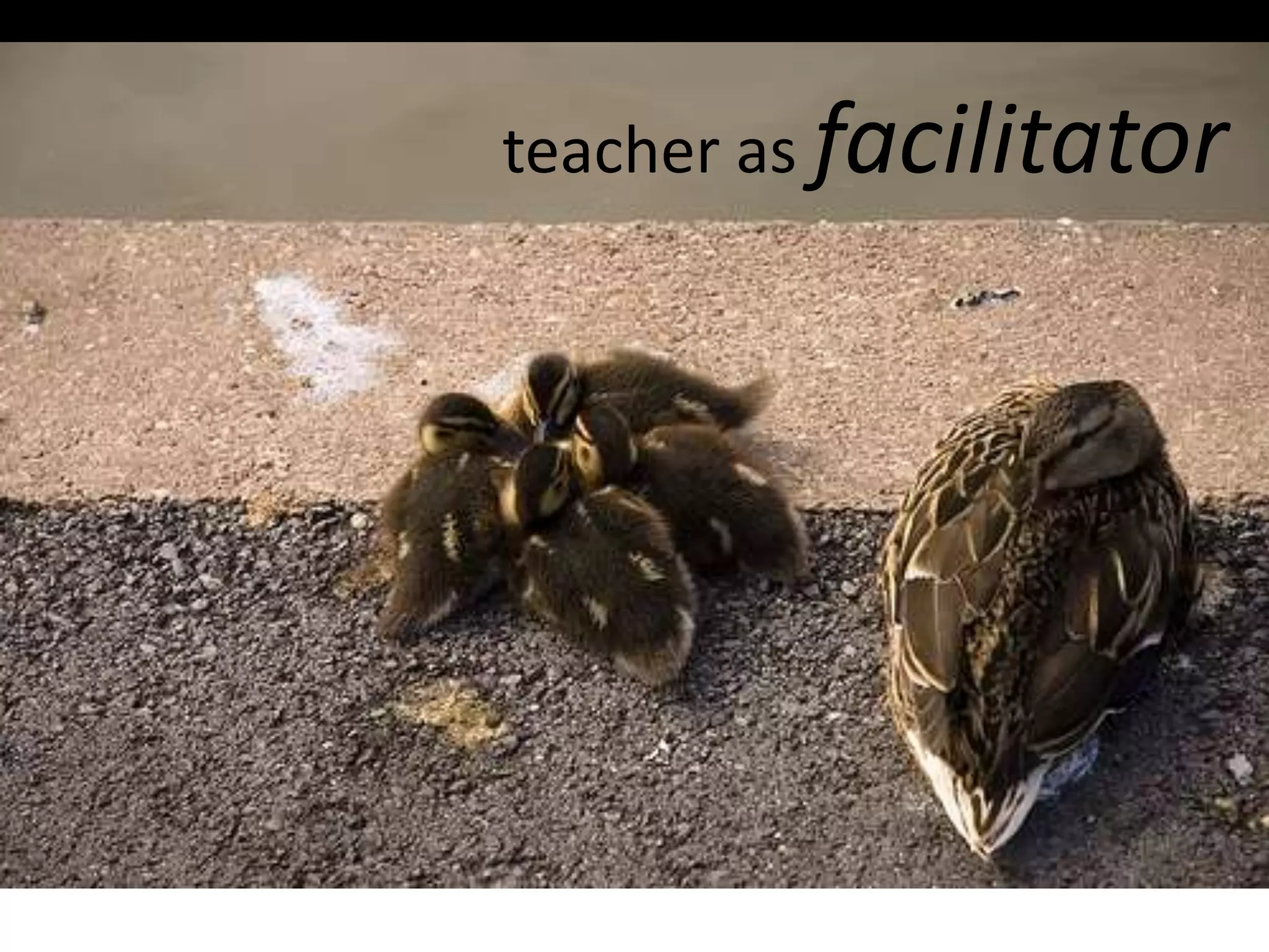 teacher as facilitator