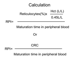 Reticulocyte count | PPT