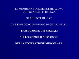 LE MEMBRANE DEL SER STBILISCONO
       CON GRANDE EFFICIENZA

         GRADIENTI DI CA++

CHE SVOLGONO UN RUOLO DECISIVO NELLA

      TRASDUZIONE DEI SEGNALI

     NELLO STIMOLO NERVOSO E

  NELLA CONTRAZIONE MUSCOLARE
 