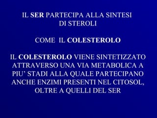 IL SER PARTECIPA ALLA SINTESI
             DI STEROLI

      COME IL COLESTEROLO

IL COLESTEROLO VIENE SINTETIZZATO
 ATTRAVERSO UNA VIA METABOLICA A
 PIU’ STADI ALLA QUALE PARTECIPANO
 ANCHE ENZIMI PRESENTI NEL CITOSOL,
        OLTRE A QUELLI DEL SER
 