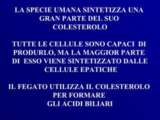LA SPECIE UMANA SINTETIZZA UNA
       GRAN PARTE DEL SUO
          COLESTEROLO

TUTTE LE CELLULE SONO CAPACI DI
PRODURLO, MA LA MAGGIOR PARTE
DI ESSO VIENE SINTETIZZATO DALLE
        CELLULE EPATICHE

IL FEGATO UTILIZZA IL COLESTEROLO
           PER FORMARE
         GLI ACIDI BILIARI
 
