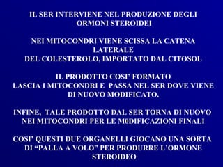 IL SER INTERVIENE NEL PRODUZIONE DEGLI
               ORMONI STEROIDEI

   NEI MITOCONDRI VIENE SCISSA LA CATENA
                LATERALE
  DEL COLESTEROLO, IMPORTATO DAL CITOSOL

          IL PRODOTTO COSI’ FORMATO
LASCIA I MITOCONDRI E PASSA NEL SER DOVE VIENE
              DI NUOVO MODIFICATO.

INFINE, TALE PRODOTTO DAL SER TORNA DI NUOVO
  NEI MITOCONDRI PER LE M0DIFICAZIONI FINALI

COSI’ QUESTI DUE ORGANELLI GIOCANO UNA SORTA
  DI “PALLA A VOLO” PER PRODURRE L’ORMONE
                   STEROIDEO
 