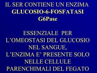 IL SER CONTIENE UN ENZIMA
   GLUCOSIO-6-FOSFATASI
          G6Pase

     ESSENZIALE PER
L’OMEOSTASI DEL GLUCOSIO
       NEL SANGUE,
L’ENZIMA E’ PRESENTE SOLO
      NELLE CELLULE
PARENCHIMALI DEL FEGATO
 
