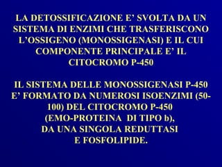 LA DETOSSIFICAZIONE E’ SVOLTA DA UN
SISTEMA DI ENZIMI CHE TRASFERISCONO
 L’OSSIGENO (MONOSSIGENASI) E IL CUI
    COMPONENTE PRINCIPALE E’ IL
           CITOCROMO P-450

IL SISTEMA DELLE MONOSSIGENASI P-450
E’ FORMATO DA NUMEROSI ISOENZIMI (50-
        100) DEL CITOCROMO P-450
       (EMO-PROTEINA DI TIPO b),
      DA UNA SINGOLA REDUTTASI
              E FOSFOLIPIDE.
 