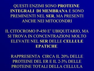 QUESTI ENZIMI SONO PROTEINE
  INTEGRALI DI MEMBRANA E SONO
  PREMINENTI NEL SER, MA PRESENTI
       ANCHE NEI MITOCONDRI

IL CITOCROMO P-450 E’ UBIQUITARIO, MA
 SI TROVA IN CONCENTRAZIONI MOLTO
   ELEVATE NEL SER DELLE CELLULE
              EPATICHE

  RAPPRESENTA CIRCA IL 20% DELLE
   PROTEINE DEL ER E IL 2-3% DELLE
  PROTEINE TOTALI DELLA CELLULA
 