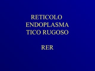RETICOLO
ENDOPLASMA
TICO RUGOSO

   RER
 