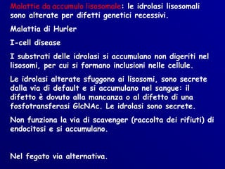 Malattie da accumulo lisosomale: le idrolasi lisosomali
sono alterate per difetti genetici recessivi.
Malattia di Hurler
I-cell disease
I substrati delle idrolasi si accumulano non digeriti nel
lisosomi, per cui si formano inclusioni nelle cellule.
Le idrolasi alterate sfuggono ai lisosomi, sono secrete
dalla via di default e si accumulano nel sangue: il
difetto è dovuto alla mancanza o al difetto di una
fosfotransferasi GlcNAc. Le idrolasi sono secrete.
Non funziona la via di scavenger (raccolta dei rifiuti) di
endocitosi e si accumulano.


Nel fegato via alternativa.
 