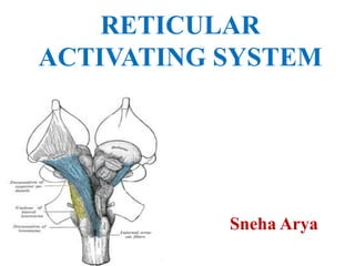 RETICULAR
ACTIVATING SYSTEM
Sneha Arya
 