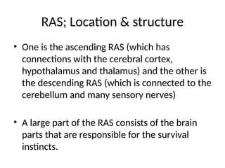 RAS; Location & structure
• One is the ascending RAS (which has
connections with the cerebral cortex,
hypothalamus and thalamus) and the other is
the descending RAS (which is connected to the
cerebellum and many sensory nerves)
• A large part of the RAS consists of the brain
parts that are responsible for the survival
instincts.
 
