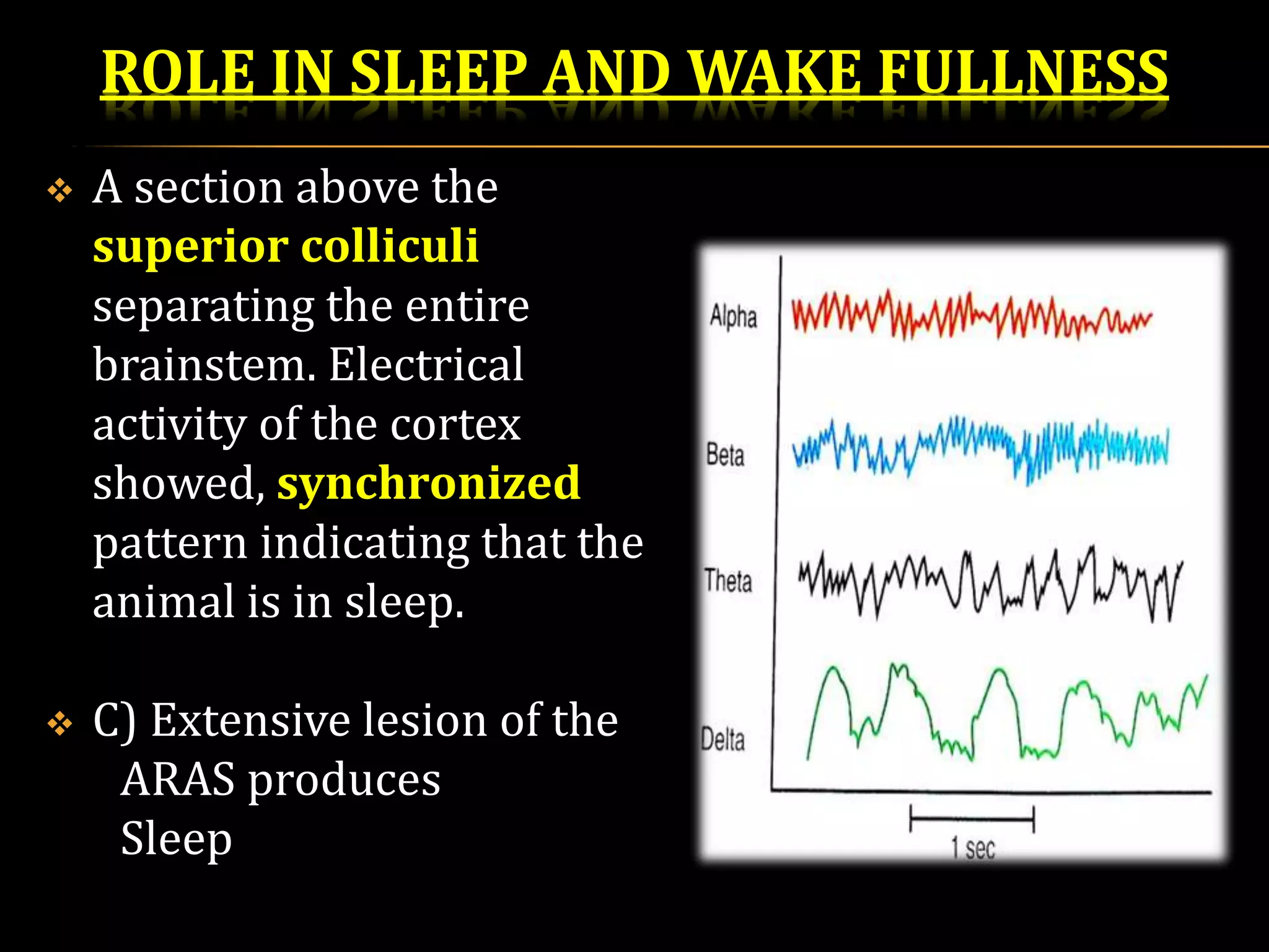 Reticular formation | PPTX