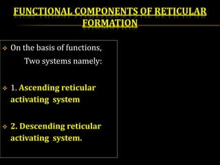 FUNCTIONAL COMPONENTS OF RETICULAR
FORMATION
 On the basis of functions,
Two systems namely:
 1. Ascending reticular
activating system
 2. Descending reticular
activating system.
 