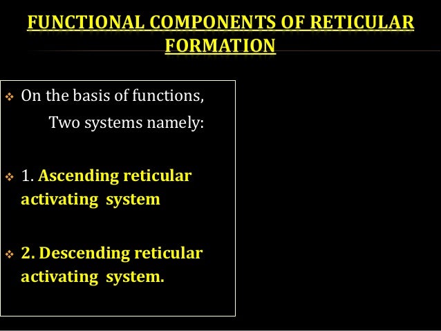 reticular formation function
