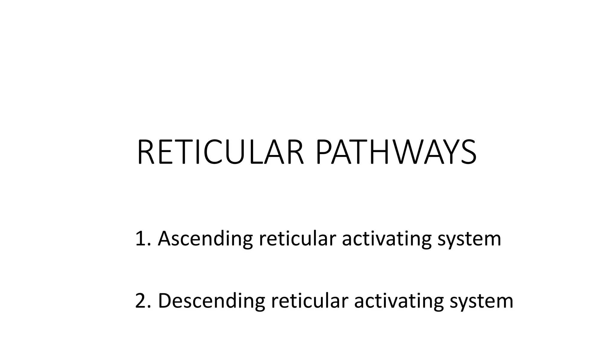 RETICULAR PATHWAYS
1. Ascending reticular activating system
2. Descending reticular activating system
 