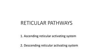 RETICULAR PATHWAYS
1. Ascending reticular activating system
2. Descending reticular activating system
 