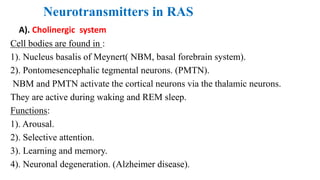 Neurotransmitters in RAS
A). Cholinergic system
Cell bodies are found in :
1). Nucleus basalis of Meynert( NBM, basal forebrain system).
2). Pontomesencephalic tegmental neurons. (PMTN).
NBM and PMTN activate the cortical neurons via the thalamic neurons.
They are active during waking and REM sleep.
Functions:
1). Arousal.
2). Selective attention.
3). Learning and memory.
4). Neuronal degeneration. (Alzheimer disease).
 