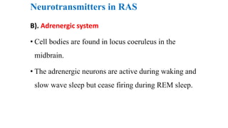 Neurotransmitters in RAS
B). Adrenergic system
• Cell bodies are found in locus coeruleus in the
midbrain.
• The adrenergic neurons are active during waking and
slow wave sleep but cease firing during REM sleep.
 
