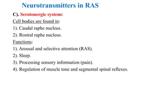 Neurotransmitters in RAS
C). Serotonergic system:
Cell bodies are found in:
1). Caudal raphe nucleus.
2). Rostral raphe nucleus.
Functions:
1). Arousal and selective attention (RAS).
2). Sleep.
3). Processing sensory information (pain).
4). Regulation of muscle tone and segmental spinal reflexes.
 