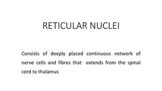 RETICULAR NUCLEI
Consists of deeply placed continuous network of
nerve cells and fibres that extends from the spinal
cord to thalamus
 