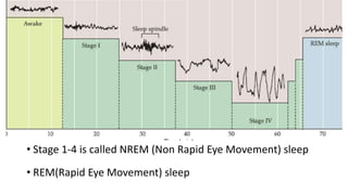 • Stage 1-4 is called NREM (Non Rapid Eye Movement) sleep
• REM(Rapid Eye Movement) sleep
 