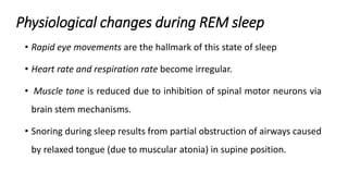 Physiological changes during REM sleep
• Rapid eye movements are the hallmark of this state of sleep
• Heart rate and respiration rate become irregular.
• Muscle tone is reduced due to inhibition of spinal motor neurons via
brain stem mechanisms.
• Snoring during sleep results from partial obstruction of airways caused
by relaxed tongue (due to muscular atonia) in supine position.
 