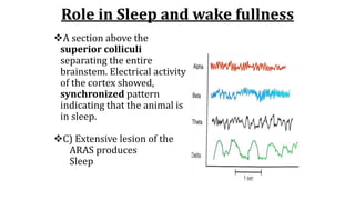 Role in Sleep and wake fullness
A section above the
superior colliculi
separating the entire
brainstem. Electrical activity
of the cortex showed,
synchronized pattern
indicating that the animal is
in sleep.
C) Extensive lesion of the
ARAS produces
Sleep
 